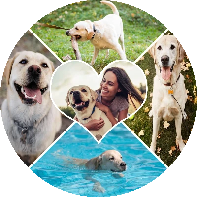 Mosaico Corazón Peludo