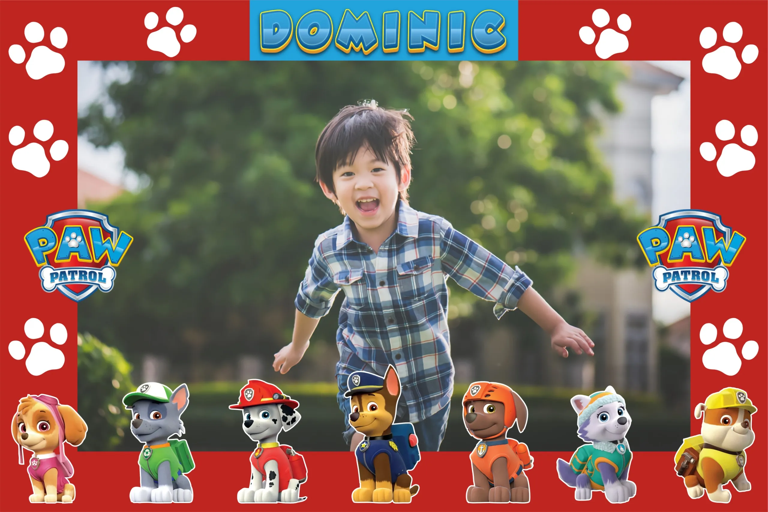 Paw Patrol